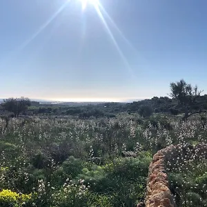 https://casa-imayah.sicilyhotelsitaly.net